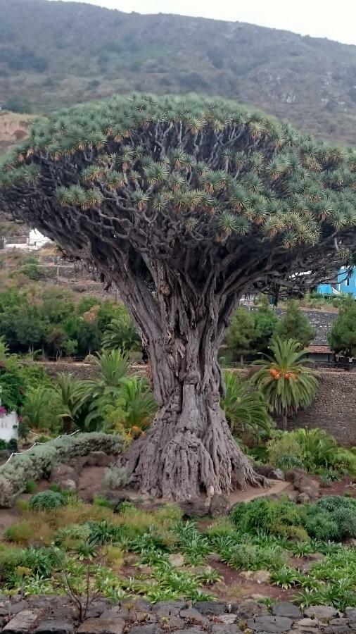 Floris'S Home Los Cristianos  Kültér fotó